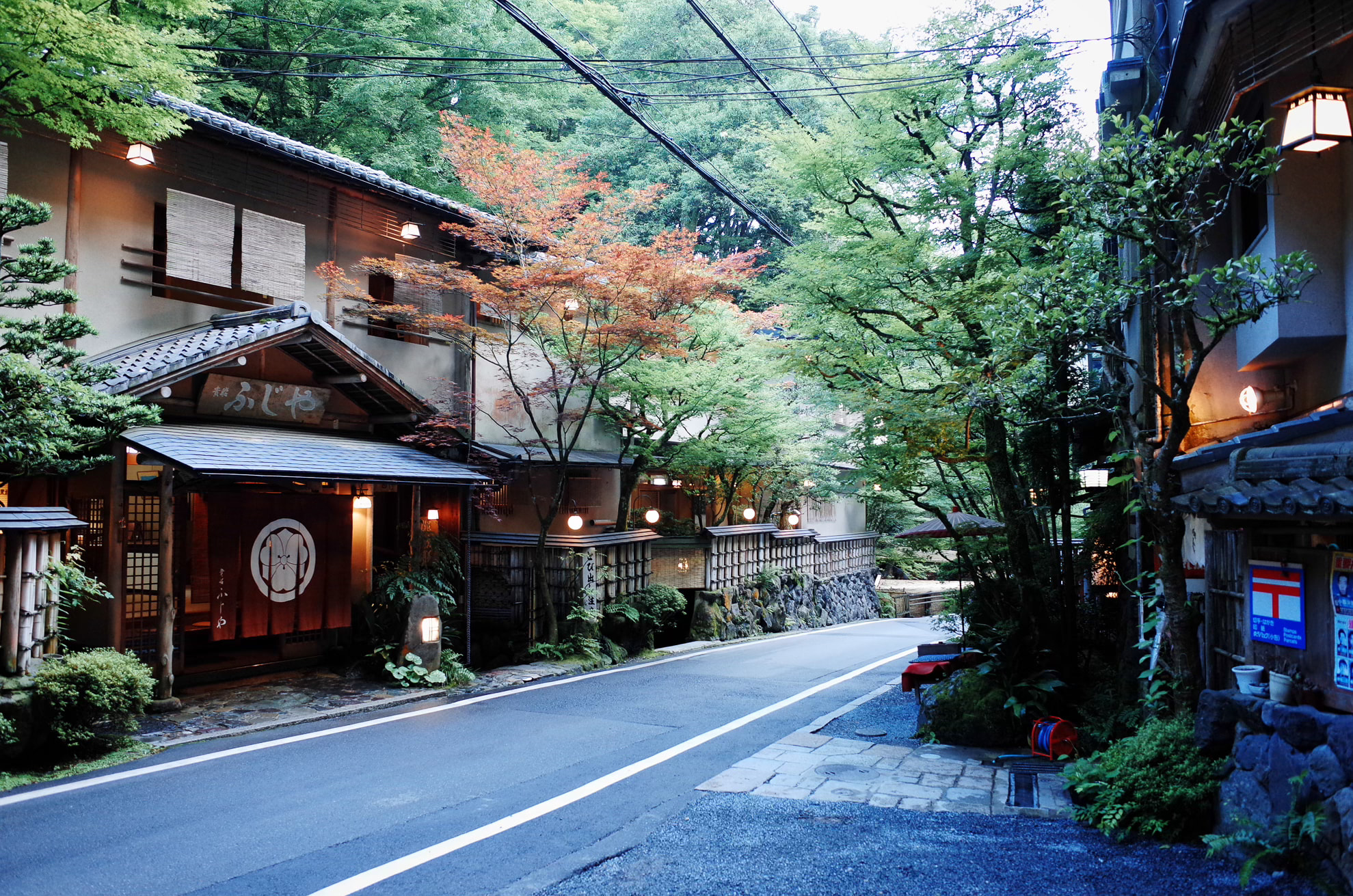 京都綠樹間安靜的街道與傳統旅館